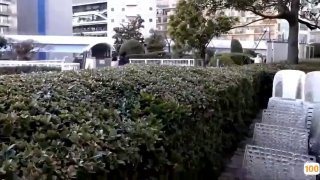 癸卯年我是她孩子的干爹（二）